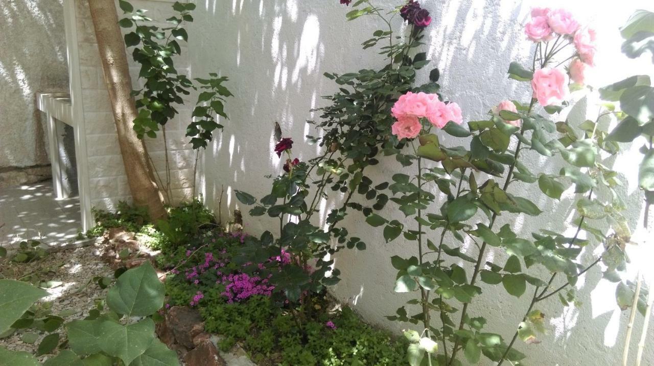 Apartman Restovic Bol Extérieur photo